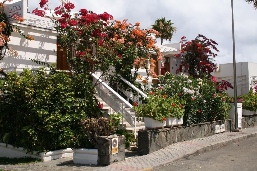 Apartamentos El Capricho Maspalomas  Eksteriør billede