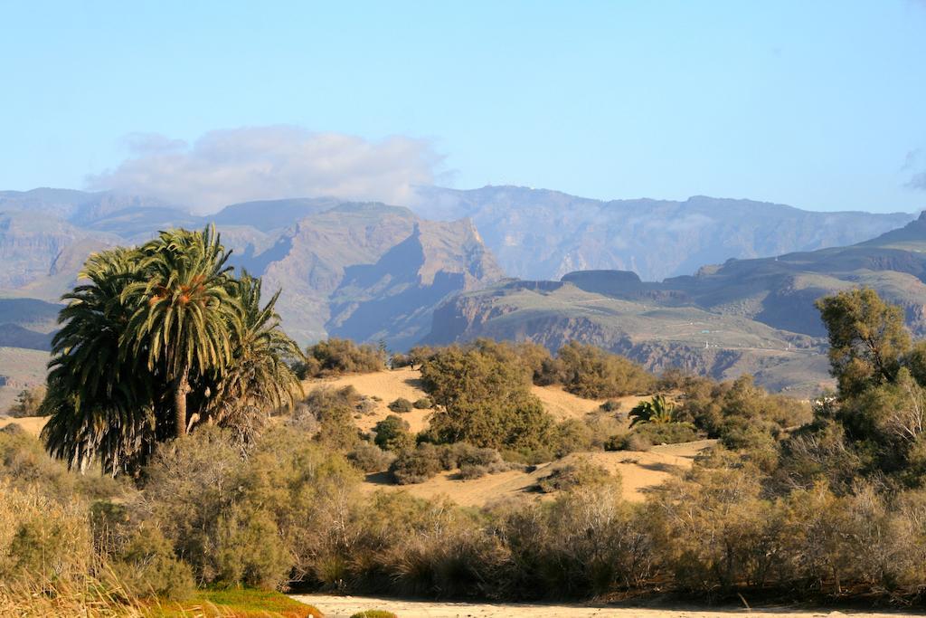 Apartamentos El Capricho Maspalomas  Eksteriør billede